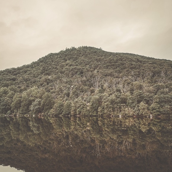 Meet your Posher, Naidelyn - Picture 4 of 8